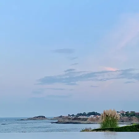 Acera Lozenec